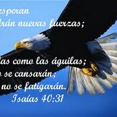 gianfranco castillo rojas