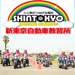 riding shintokyo-dsアイコン画像
