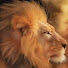 tZ1EwvQjmCE-channel-avatar-simon singh