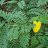 @user-qr7fs7uy9f