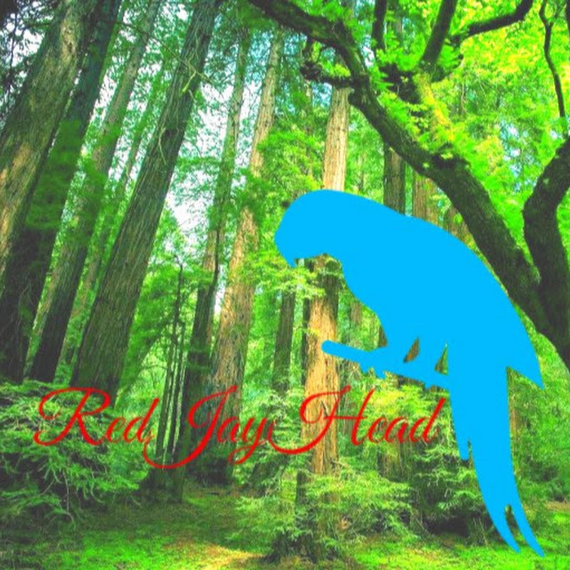 RedJayHead