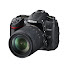 5TWglgQ4c5k-channel-avatar-Fraidoun Farid