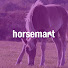 6RUAegcbmSg-channel-avatar-Horsemart