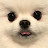 @wooanggg