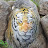 @nabeout6555