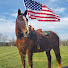 WqcdmuVJbPQ-channel-avatar-Corey at C&K STABLES LLC