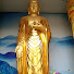 SI851r5T444-channel-avatar-Annie 佛省 Chan