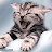 @osamasalah5400