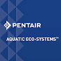 Pentair AES logo