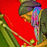 HOzV7eyRiao-channel-avatar-Daniele Francani