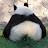 youtube avatar