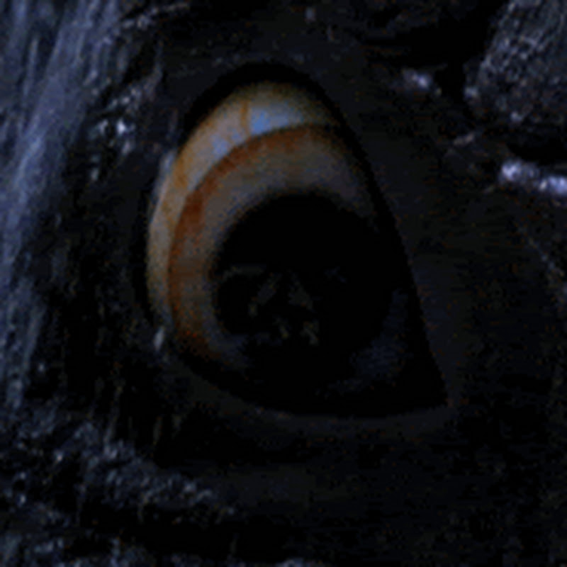 Jēkabs Violets icon