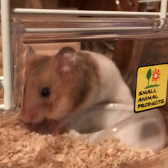 めるこ