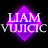 @LiamVujicic