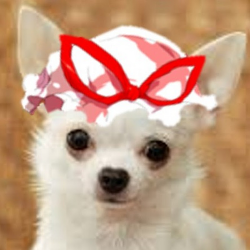 Hiyori Yakumo icon
