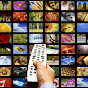 iptv more tv logo