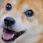 youtube avatar