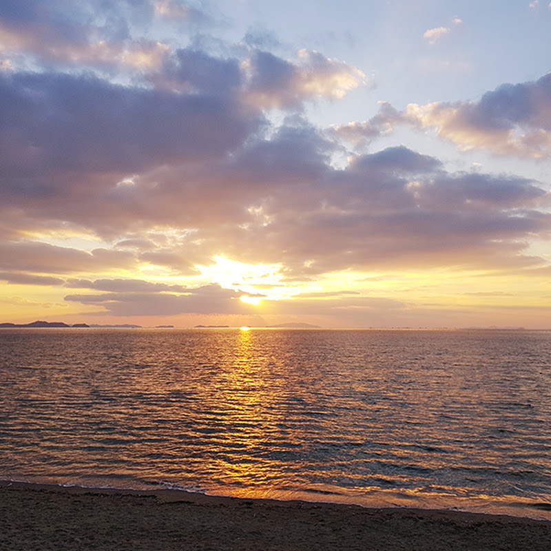 돌곰별곰TV - KPOP 음악분야