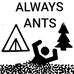 Always Ants