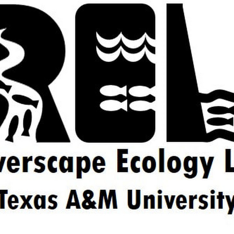 Ecological Applications in R