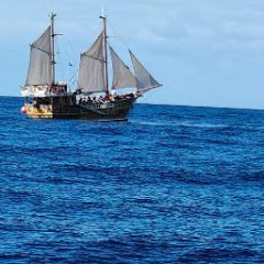 In your vicinity channel thumbnail