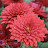 @user-ge7ud9ir6c