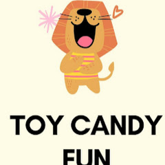 Toy candy fun net worth