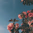 UybxVWDCKJQ-channel-avatar-Slower Music