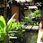 youtube avatar