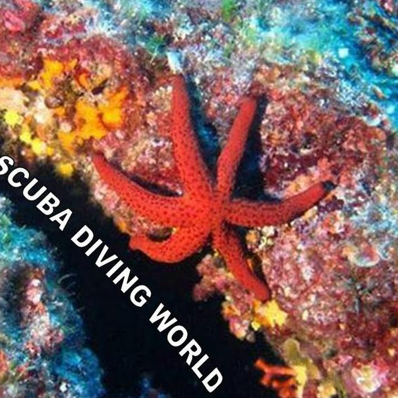 Scuba Diving World
