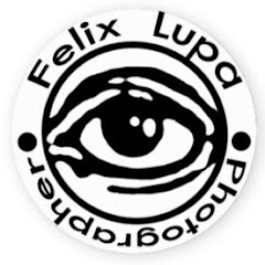 Felix Lupa
