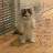 @ABDO-q2m1o