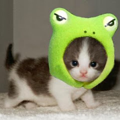 Too Cute