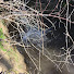 u11jJcRT9m8-channel-avatar-Odds & Ends 