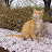 @길냥이-n6w