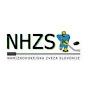 Slovenian Table Hockey Federation - NHZS logo