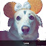 y9E9GFCydzQ-channel-avatar-Chulbuli Laddu