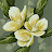 @user-jb5qm7sx6j