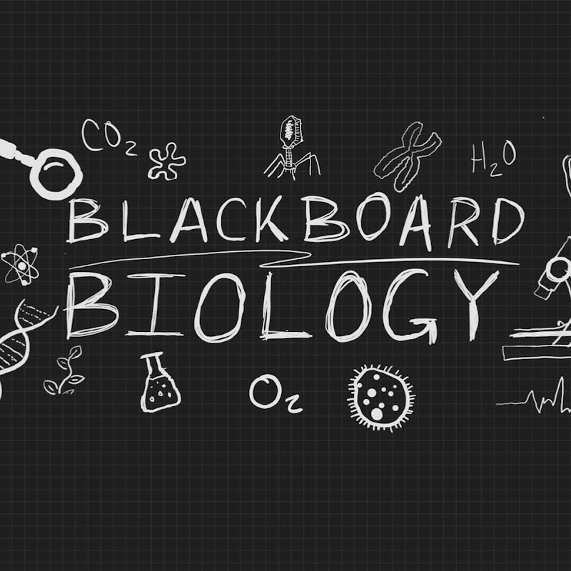 Blackboard Biology (Chuck Jeffers)