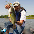 dvRw7wlTnko-channel-avatar-The Invasive Species