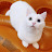 @김씨씽