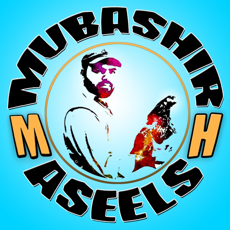 MH ASEELS