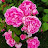 @rjnam1470