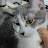 @user-vk5gp5wo3q