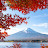 @reflection9924