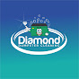 Diamond Dumpster Cleaning logo