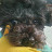 @user-ym2jk8id3n