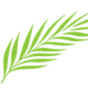Apostolic Praise logo