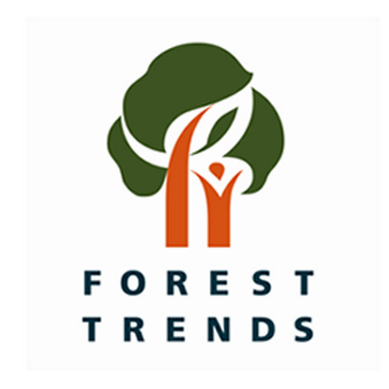Forest Trends