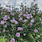 @user-fi9fe8go2y